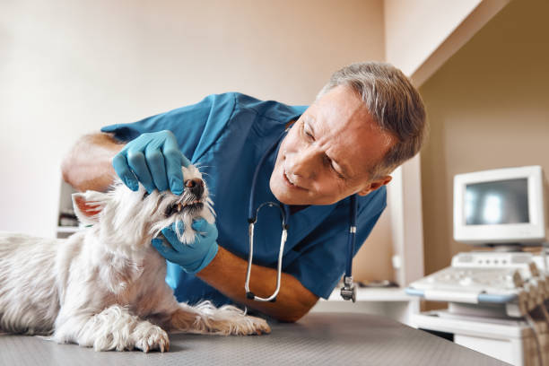 Best Emergency Denture Repair in Oakland, FL